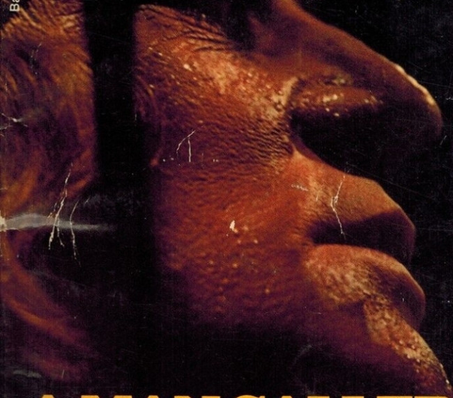 A Man Called Horse