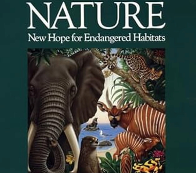Audubon Perspectives Rebirth of Nature