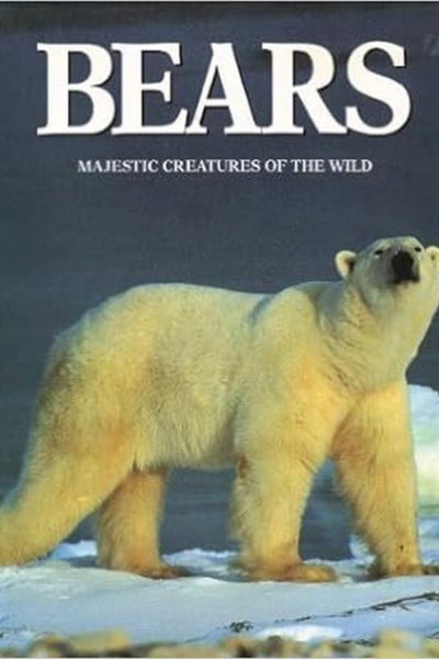 Bears