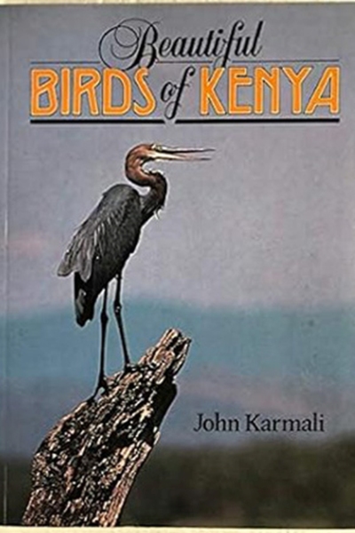 Beautiful Birds of Kenya