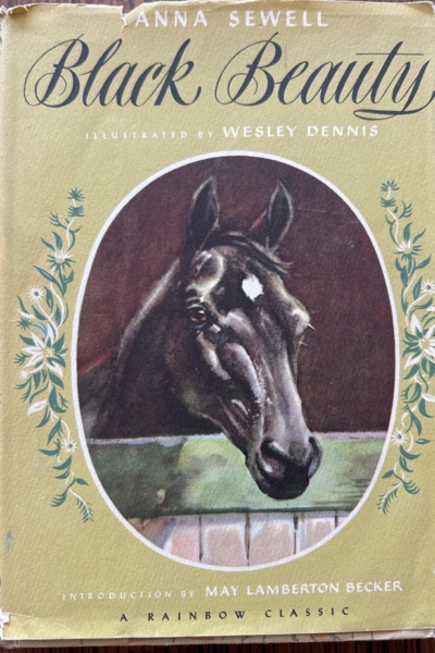Black Beauty The Autobiography-
