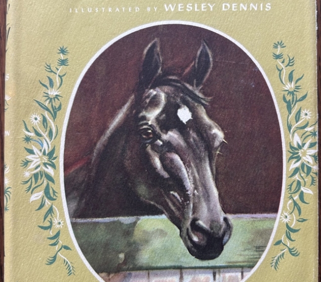 Black Beauty The Autobiography-
