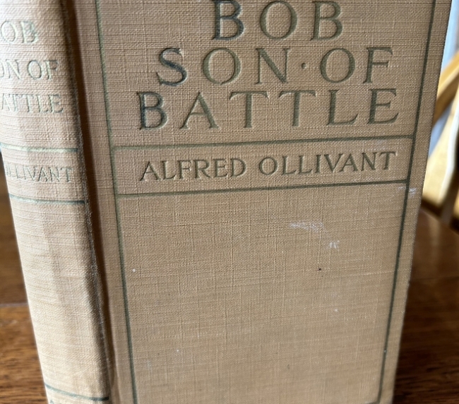 Bob Son of Battle