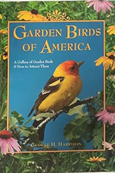 Garden Birds of America