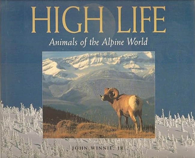 High Life