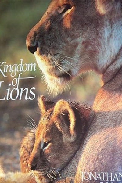 Kingdom of Lions