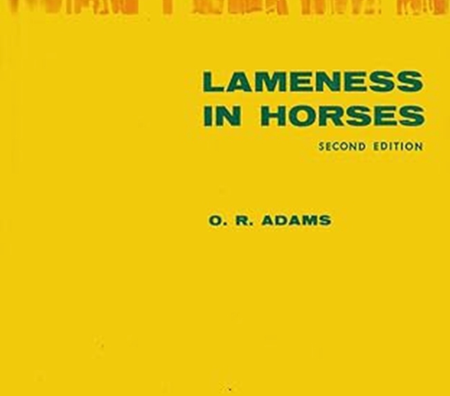 Lameness in Horses