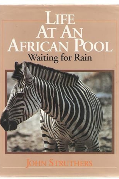 Life at an African Pool