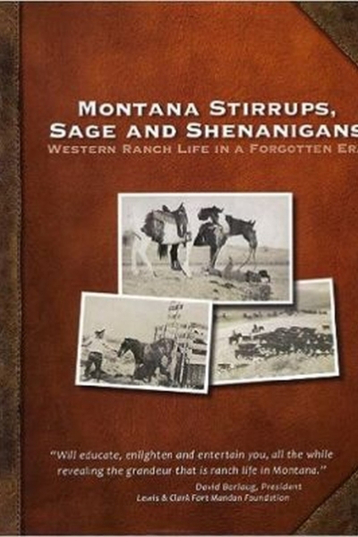 Montana Stirrups