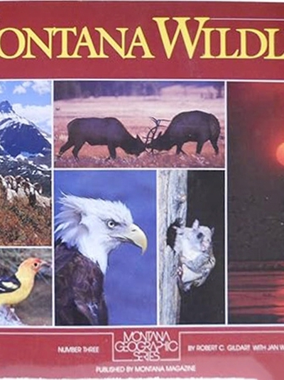Montana Wildlife