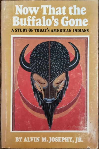 Now that the Buffalo's Gone