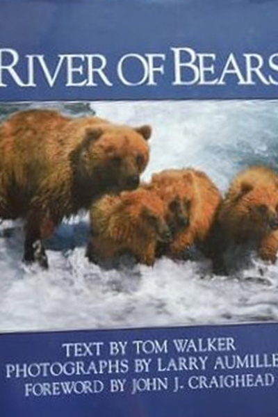 River of Bears
