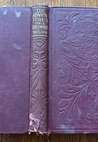 The Adventures of a Brownie-