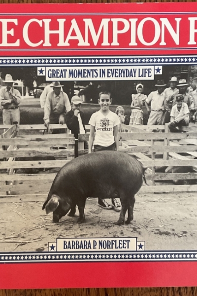 The Champion Pig