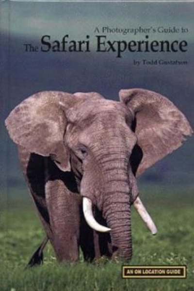 The Safari Experience