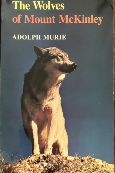 The Wolves of Mount McKinley