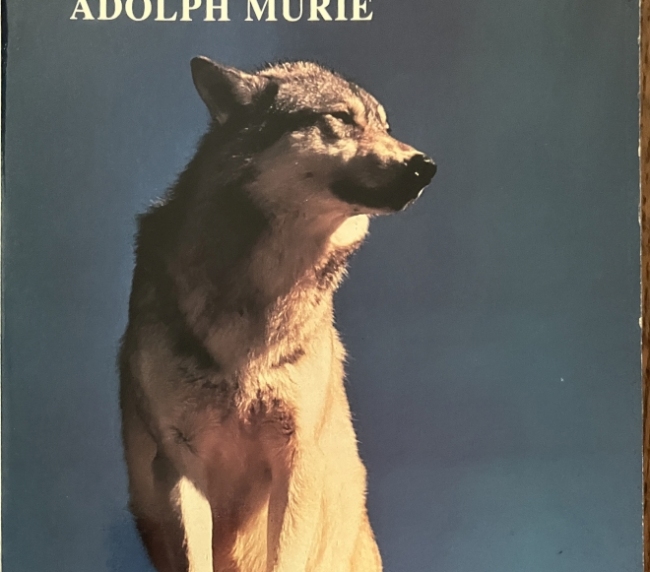 The Wolves of Mount McKinley
