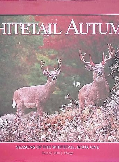 Whitetail Autumn
