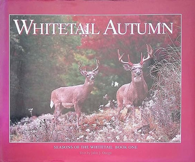 Whitetail Autumn