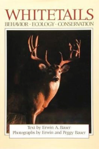 Whitetails