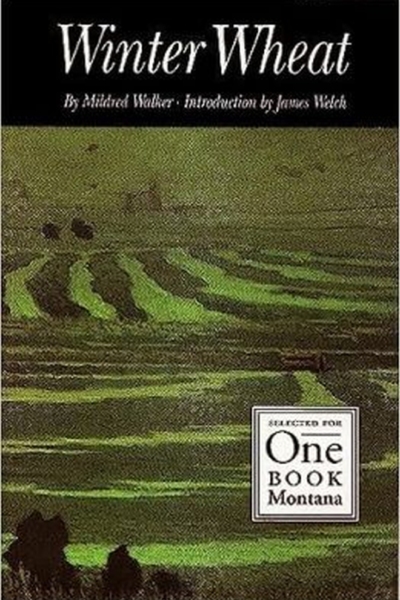 Winter Wheat