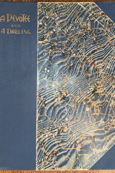 A Devotee and a Darling: Or, The Difference Between Them