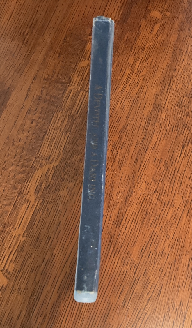 A Devotee and a Darling: Or, The Difference Between Them - Image 2