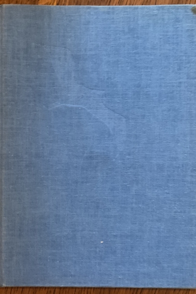 Jonathan Livingston Seagull